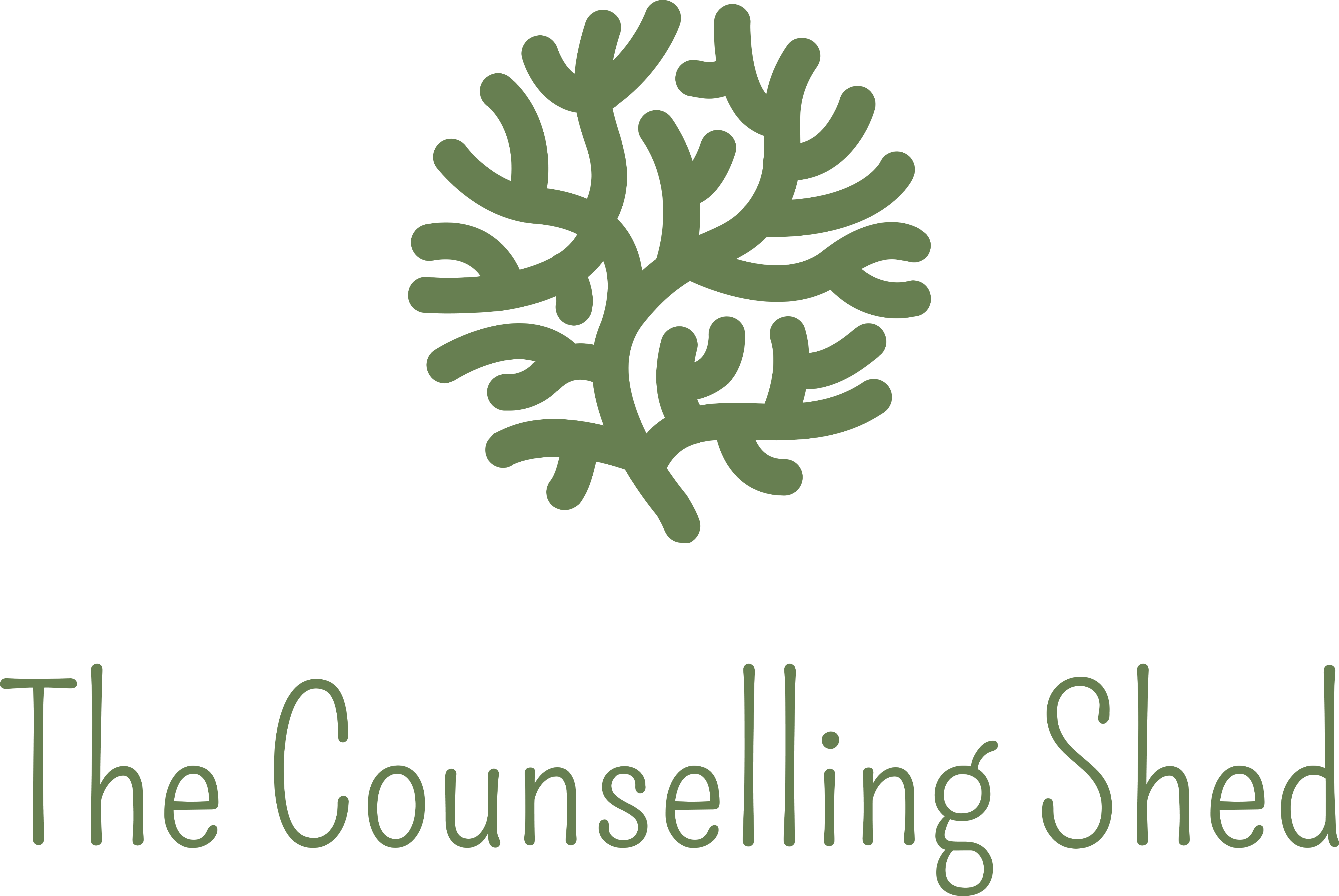 Integrative Therapeutic Counselling